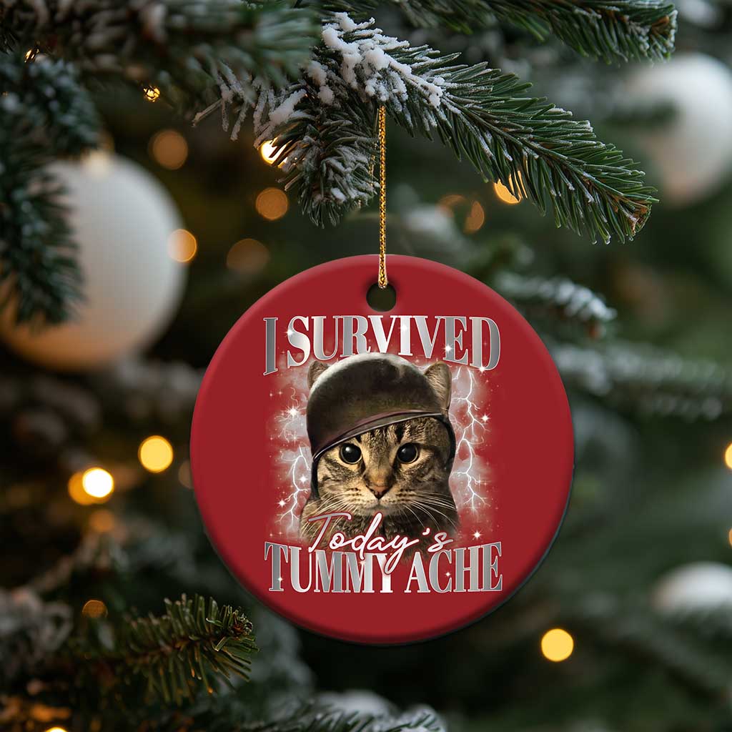Tummy Ache Survivor Cat Meme Christmas Ornament Funny Saying Cats Cat Bootleg TS10 Print Your Wear