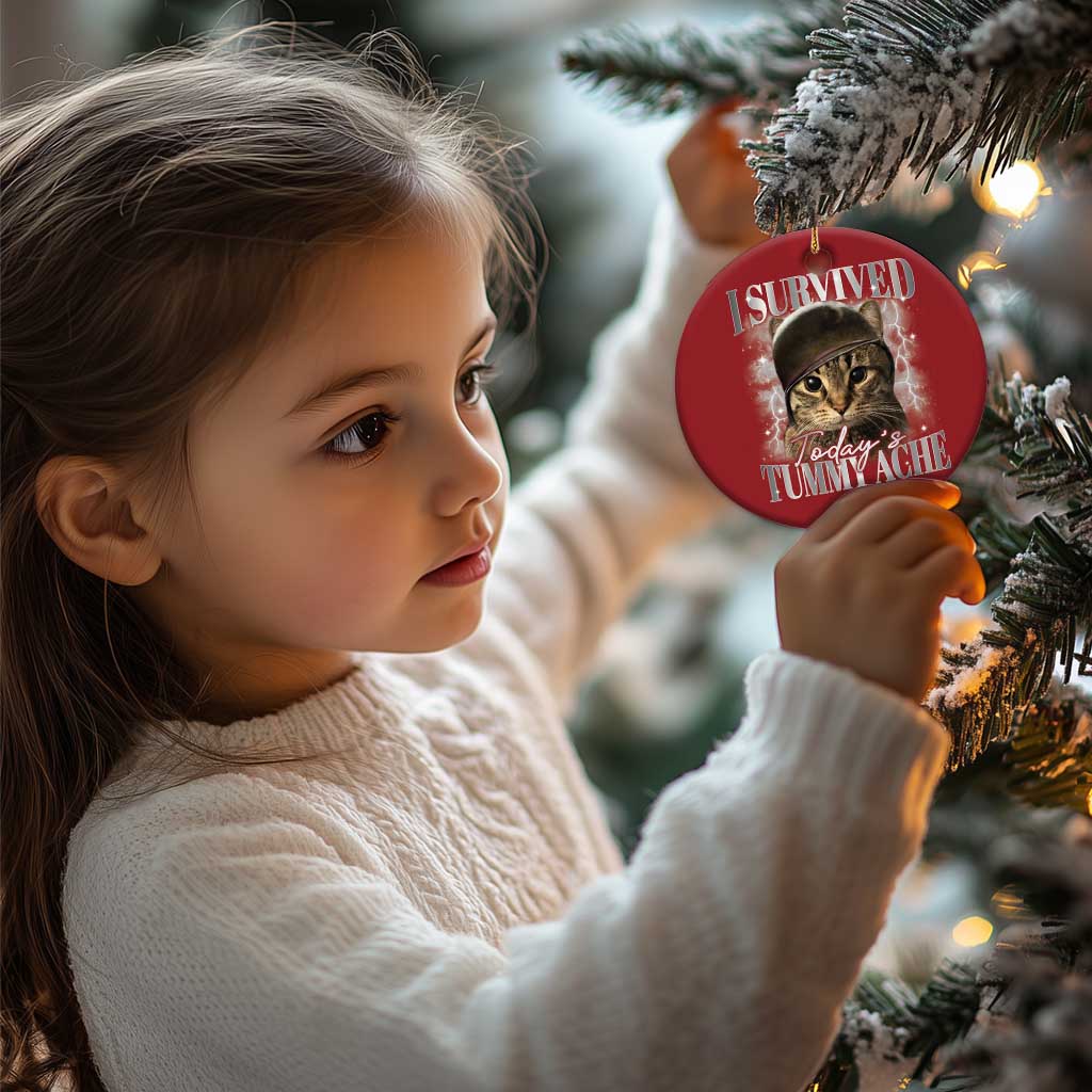 Tummy Ache Survivor Cat Meme Christmas Ornament Funny Saying Cats Cat Bootleg TS10 Print Your Wear