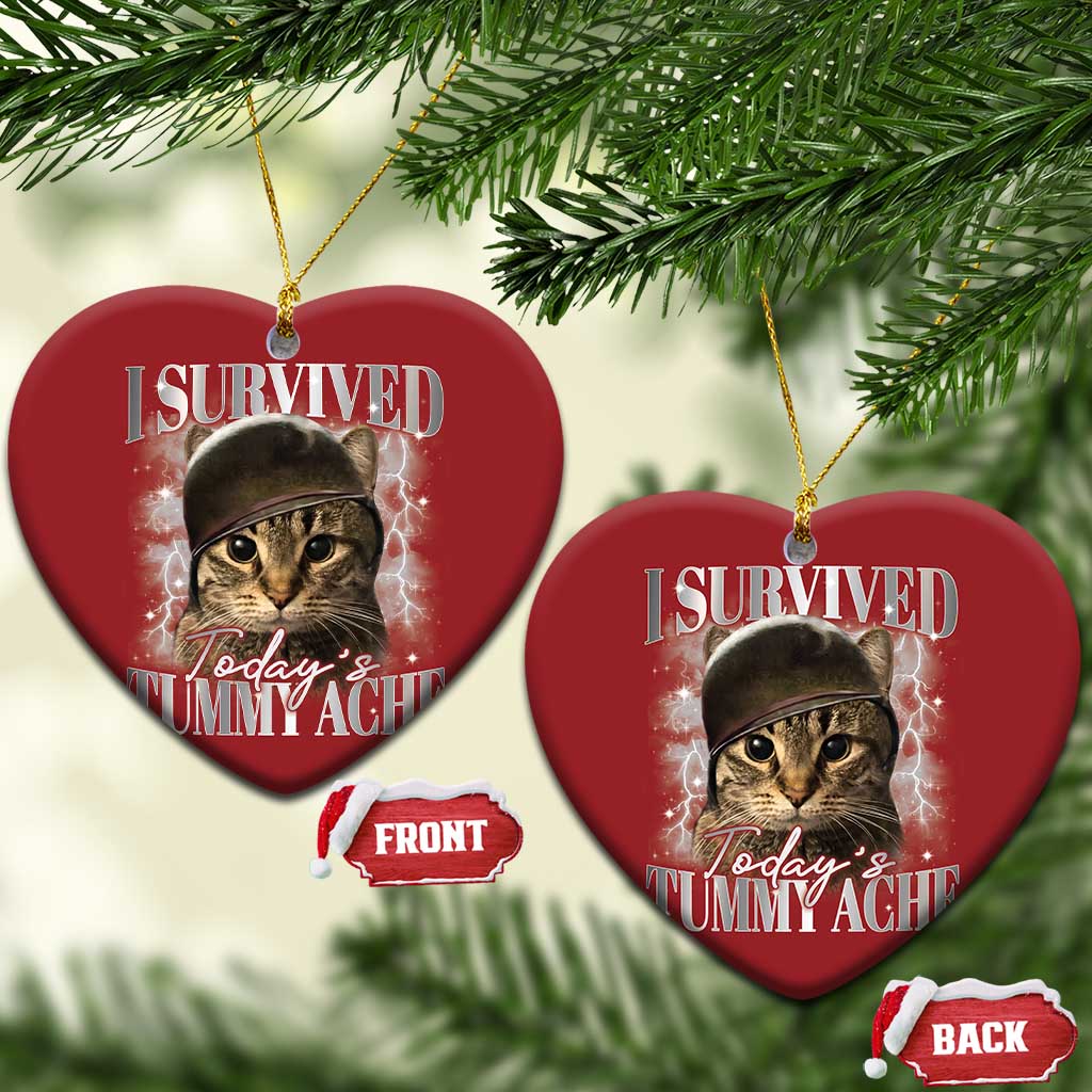 Tummy Ache Survivor Cat Meme Christmas Ornament Funny Saying Cats Cat Bootleg TS10 Heart Red Print Your Wear