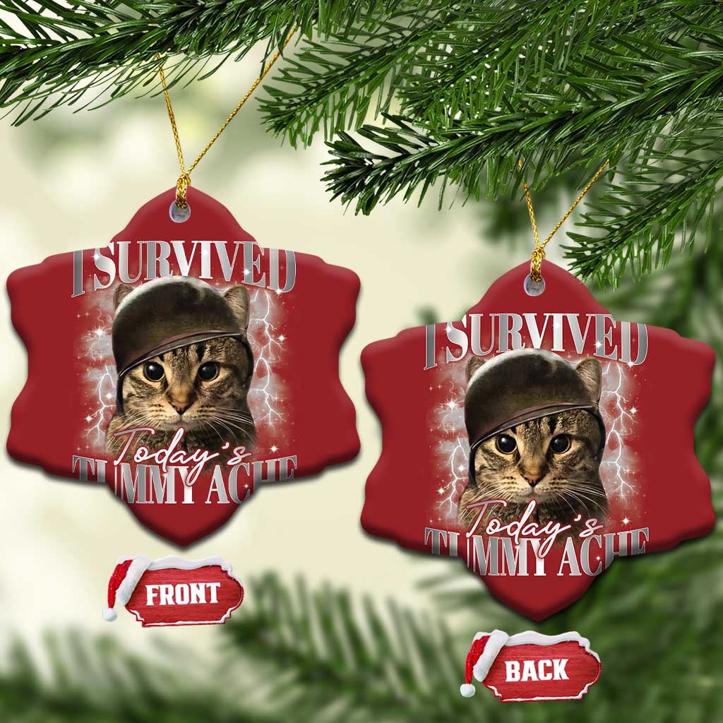 Tummy Ache Survivor Cat Meme Christmas Ornament Funny Saying Cats Cat Bootleg TS10 Snow Flake Red Print Your Wear