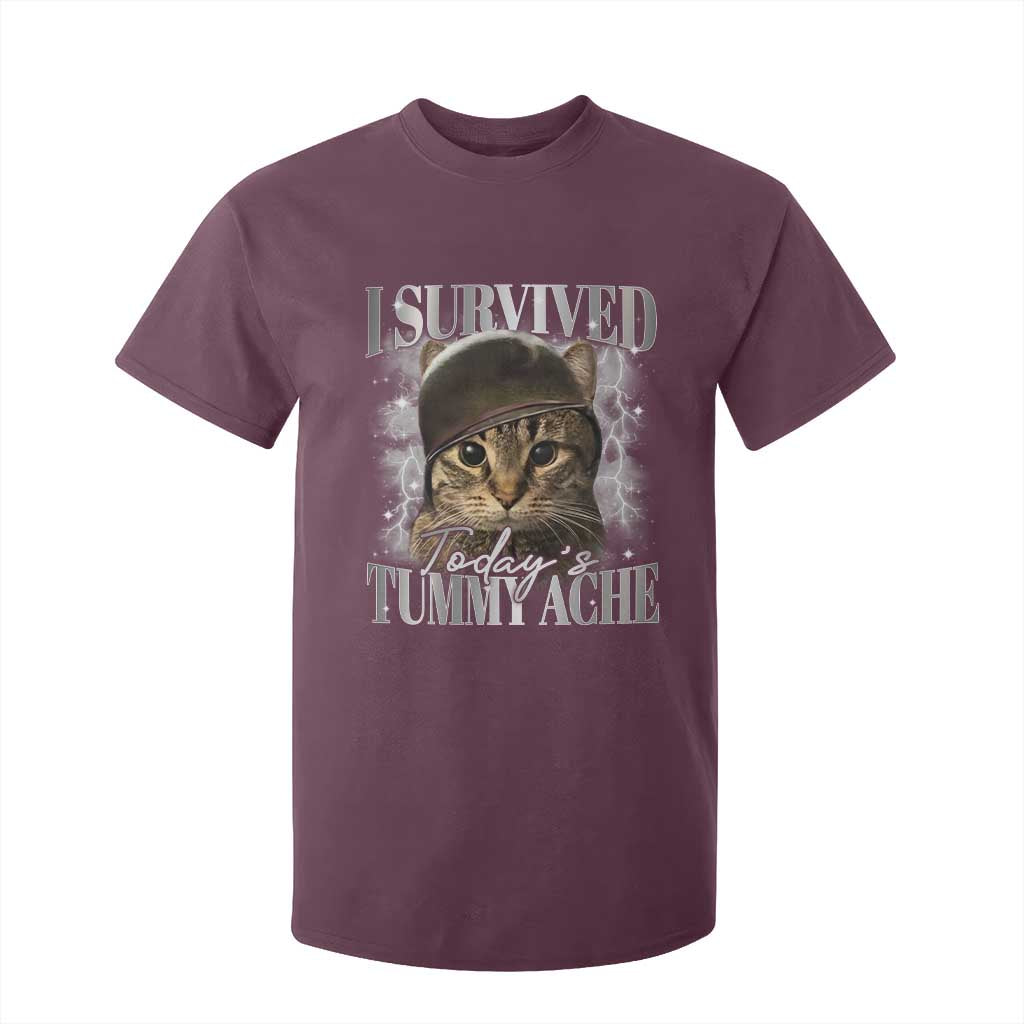 Tummy Ache Survivor Cat Meme T Shirt For Kid Funny Saying Cats Cat Bootleg TS10 Maroon Print Your Wear