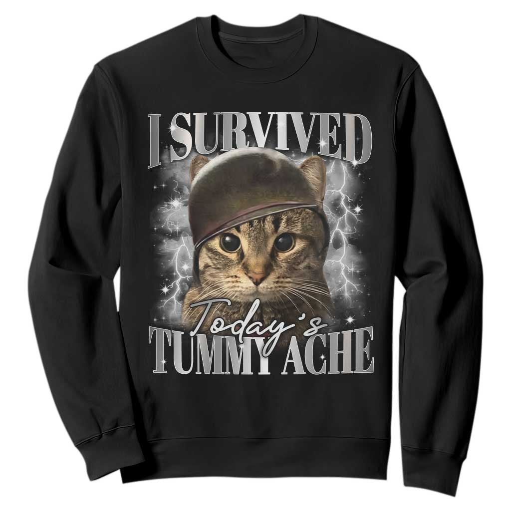 Tummy Ache Survivor Cat Meme Sweatshirt Funny Saying Cats Cat Bootleg TS10 Black Print Your Wear