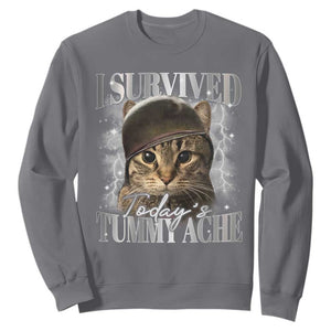 Tummy Ache Survivor Cat Meme Sweatshirt Funny Saying Cats Cat Bootleg TS10 Charcoal Print Your Wear
