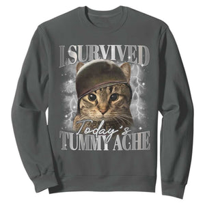 Tummy Ache Survivor Cat Meme Sweatshirt Funny Saying Cats Cat Bootleg TS10 Dark Heather Print Your Wear