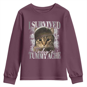 Tummy Ache Survivor Cat Meme Youth Sweatshirt Funny Saying Cats Cat Bootleg TS10 Maroon Print Your Wear