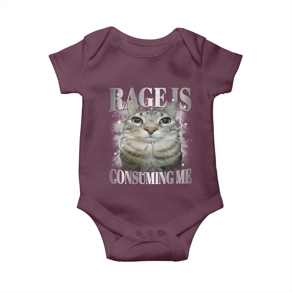 Rage Is Consuming Me Baby Onesie Funny Silly Cat Memes TS10 Maroon Print Your Wear