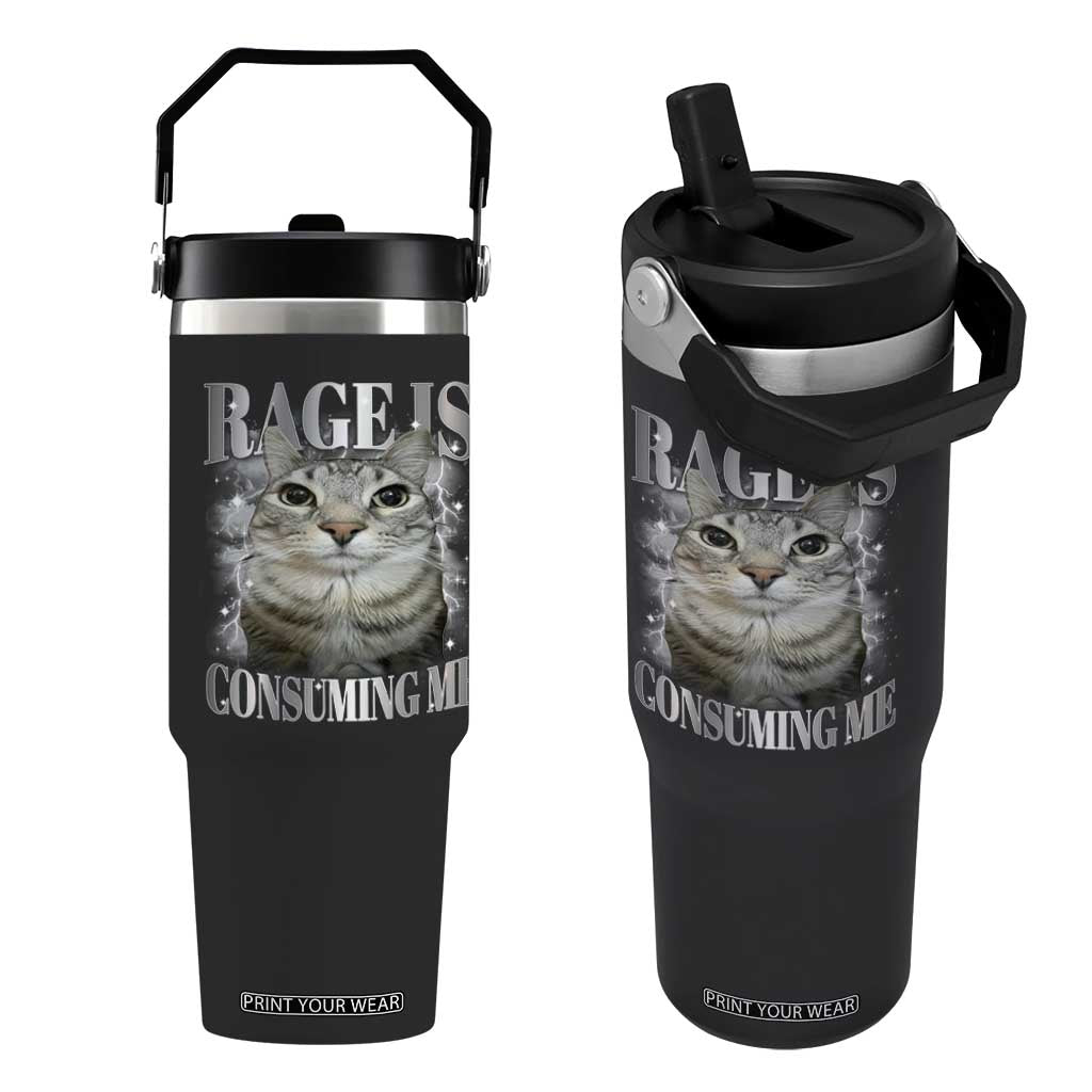 Rage Is Consuming Me Flip Straw Tumbler Funny Silly Cat Memes TS10 One Size: 30 oz Black Print Your Wear