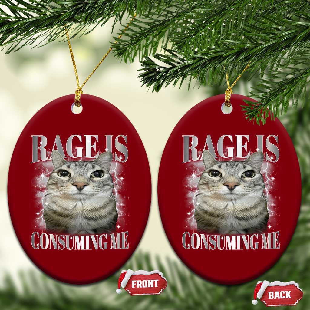 Rage Is Consuming Me Ceramic Ornament Funny Silly Cat Memes TS10 Print Your Wear