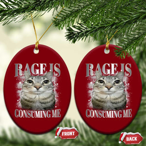 Rage Is Consuming Me Ceramic Ornament Funny Silly Cat Memes TS10 Print Your Wear