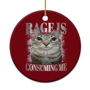 Rage Is Consuming Me Ceramic Ornament Funny Silly Cat Memes TS10 1pc Red Print Your Wear