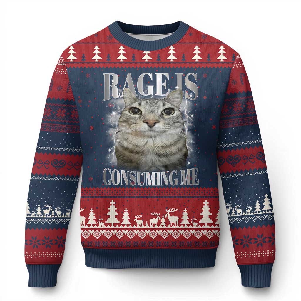 Rage Is Consuming Me Ugly Christmas Sweater Funny Silly Cat Memes TS10 Navy Red Print Your Wear