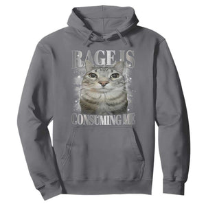 Rage Is Consuming Me Hoodie Funny Silly Cat Memes TS10 Charcoal Print Your Wear