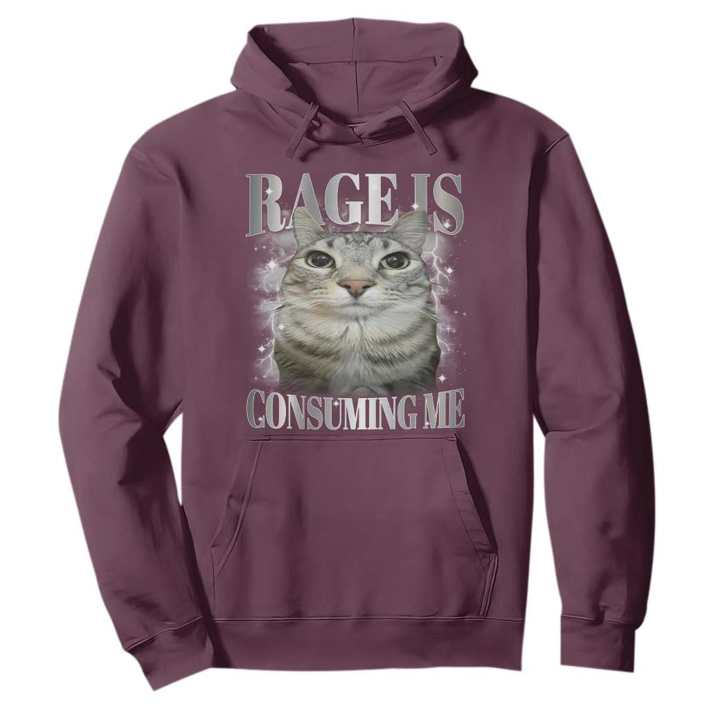 Rage Is Consuming Me Hoodie Funny Silly Cat Memes TS10 Maroon Print Your Wear