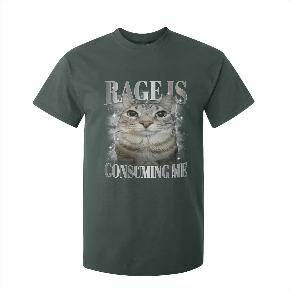 Rage Is Consuming Me T Shirt For Kid Funny Silly Cat Memes TS10 Dark Forest Green Print Your Wear