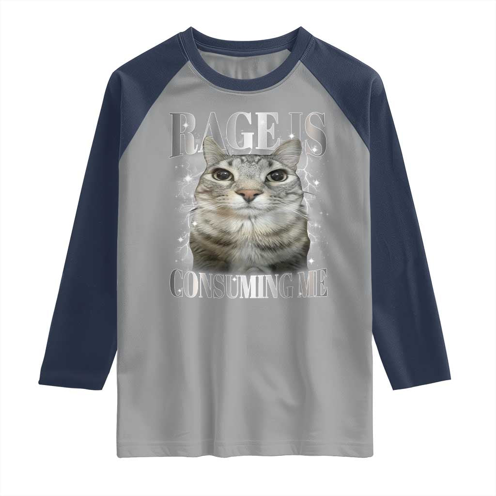 Rage Is Consuming Me Raglan Shirt Funny Silly Cat Memes TS10 Sport Gray Navy Print Your Wear
