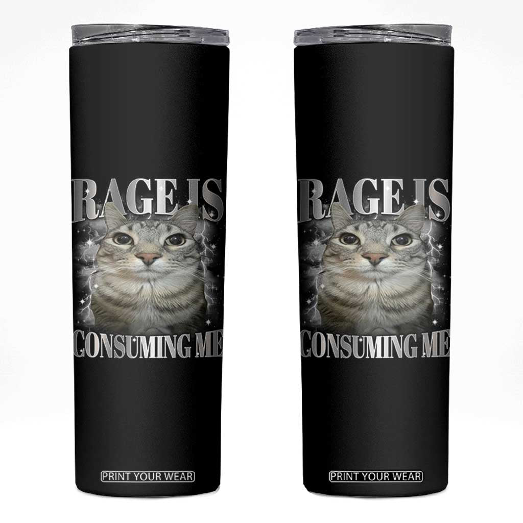 Rage Is Consuming Me Skinny Tumbler Funny Silly Cat Memes TS10 Black Print Your Wear