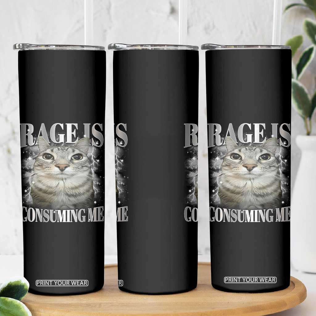 Rage Is Consuming Me Skinny Tumbler Funny Silly Cat Memes TS10 Print Your Wear