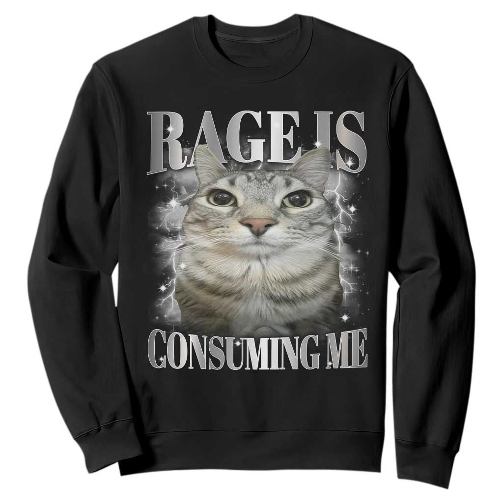 Rage Is Consuming Me Sweatshirt Funny Silly Cat Memes TS10 Black Print Your Wear