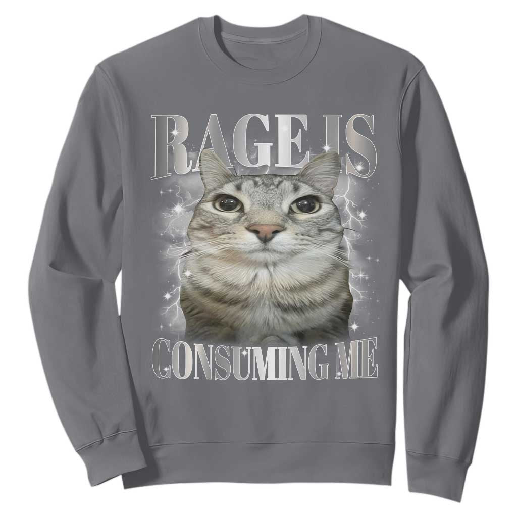 Rage Is Consuming Me Sweatshirt Funny Silly Cat Memes TS10 Charcoal Print Your Wear