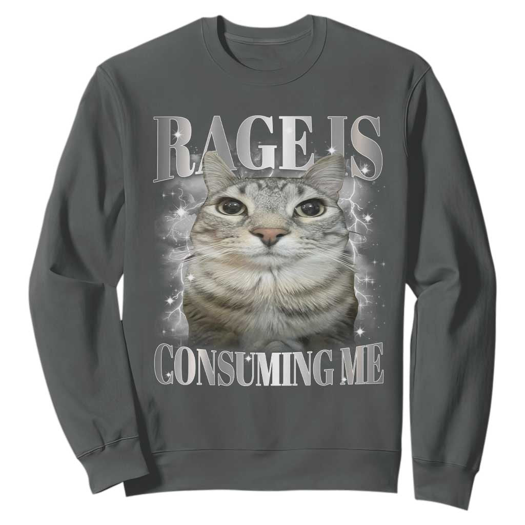 Rage Is Consuming Me Sweatshirt Funny Silly Cat Memes TS10 Dark Heather Print Your Wear