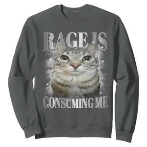 Rage Is Consuming Me Sweatshirt Funny Silly Cat Memes TS10 Dark Heather Print Your Wear