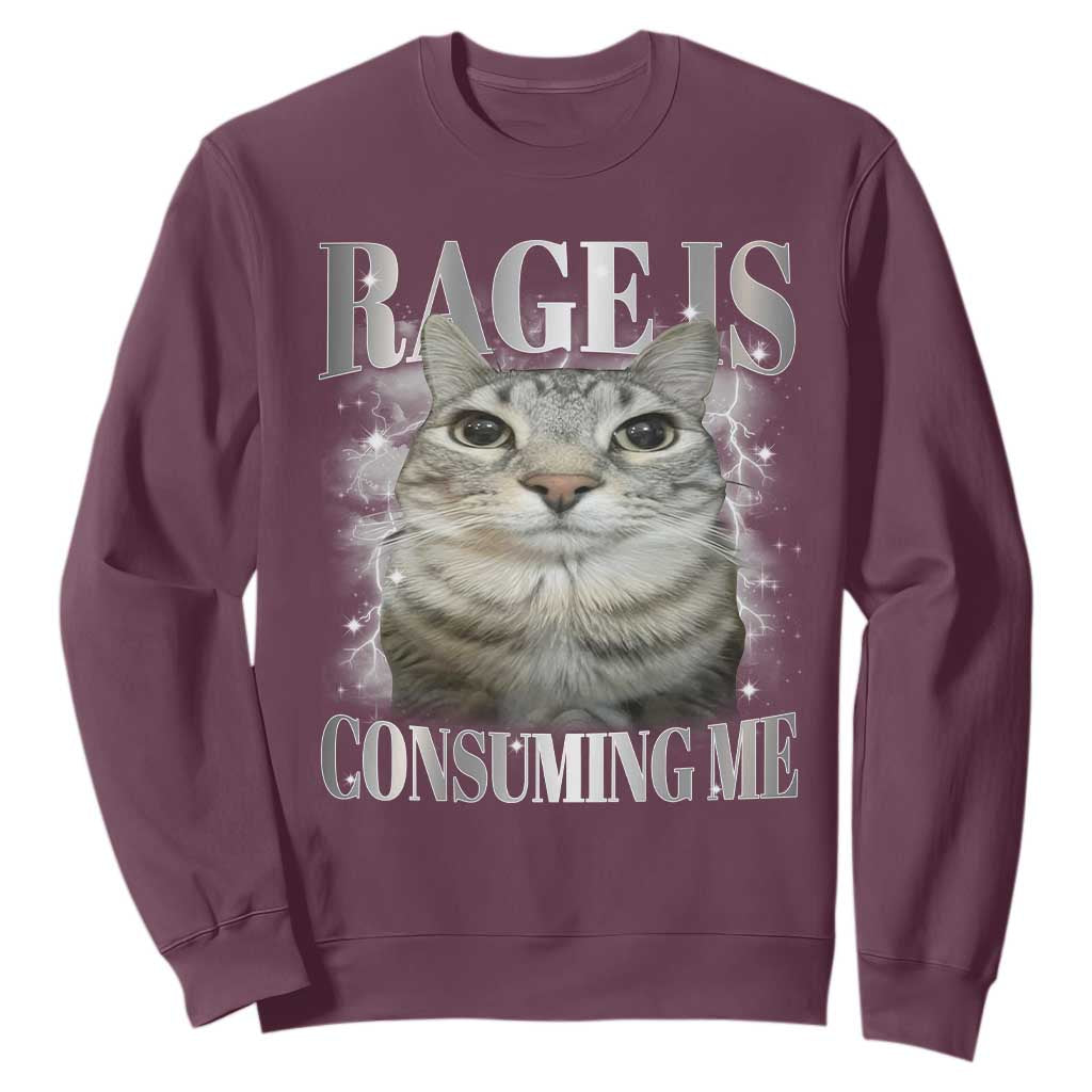 Rage Is Consuming Me Sweatshirt Funny Silly Cat Memes TS10 Maroon Print Your Wear