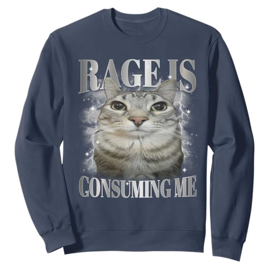 Rage Is Consuming Me Sweatshirt Funny Silly Cat Memes TS10 Navy Print Your Wear