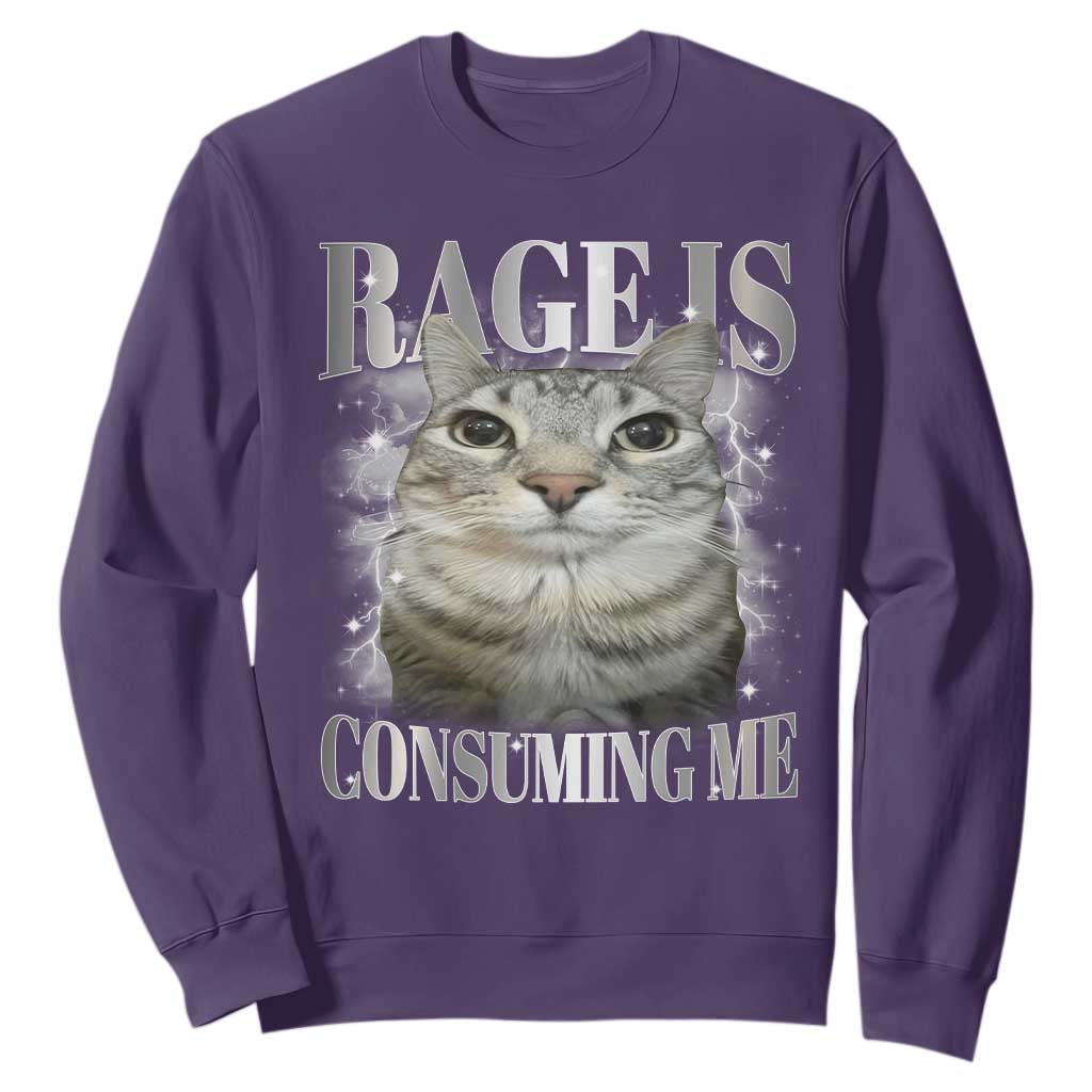 Rage Is Consuming Me Sweatshirt Funny Silly Cat Memes TS10 Purple Print Your Wear