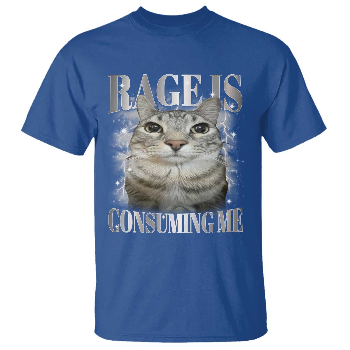 Rage Is Consuming Me T Shirt Funny Silly Cat Memes TS10 Royal Blue Print Your Wear
