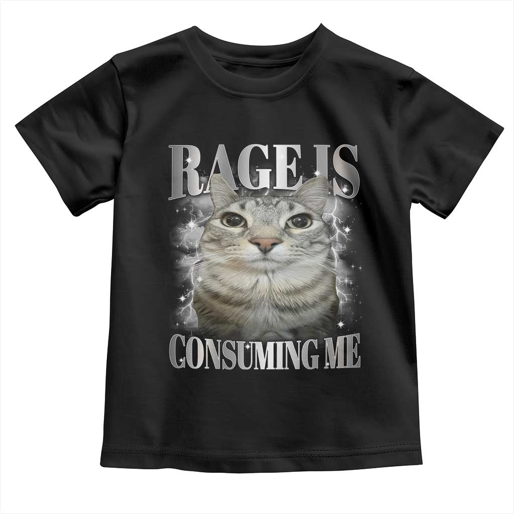 Rage Is Consuming Me Toddler T Shirt Funny Silly Cat Memes TS10 Black Print Your Wear