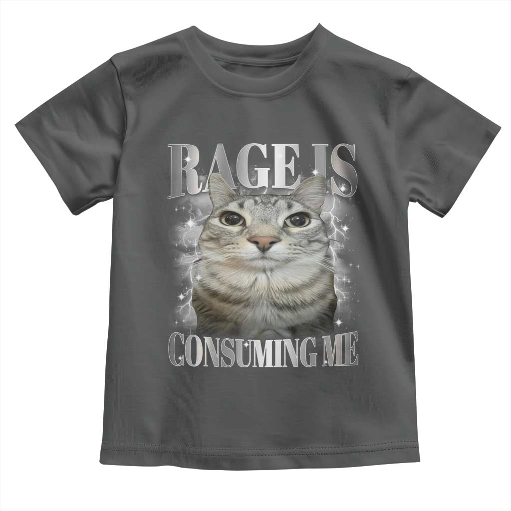 Rage Is Consuming Me Toddler T Shirt Funny Silly Cat Memes TS10 Dark Heather Print Your Wear