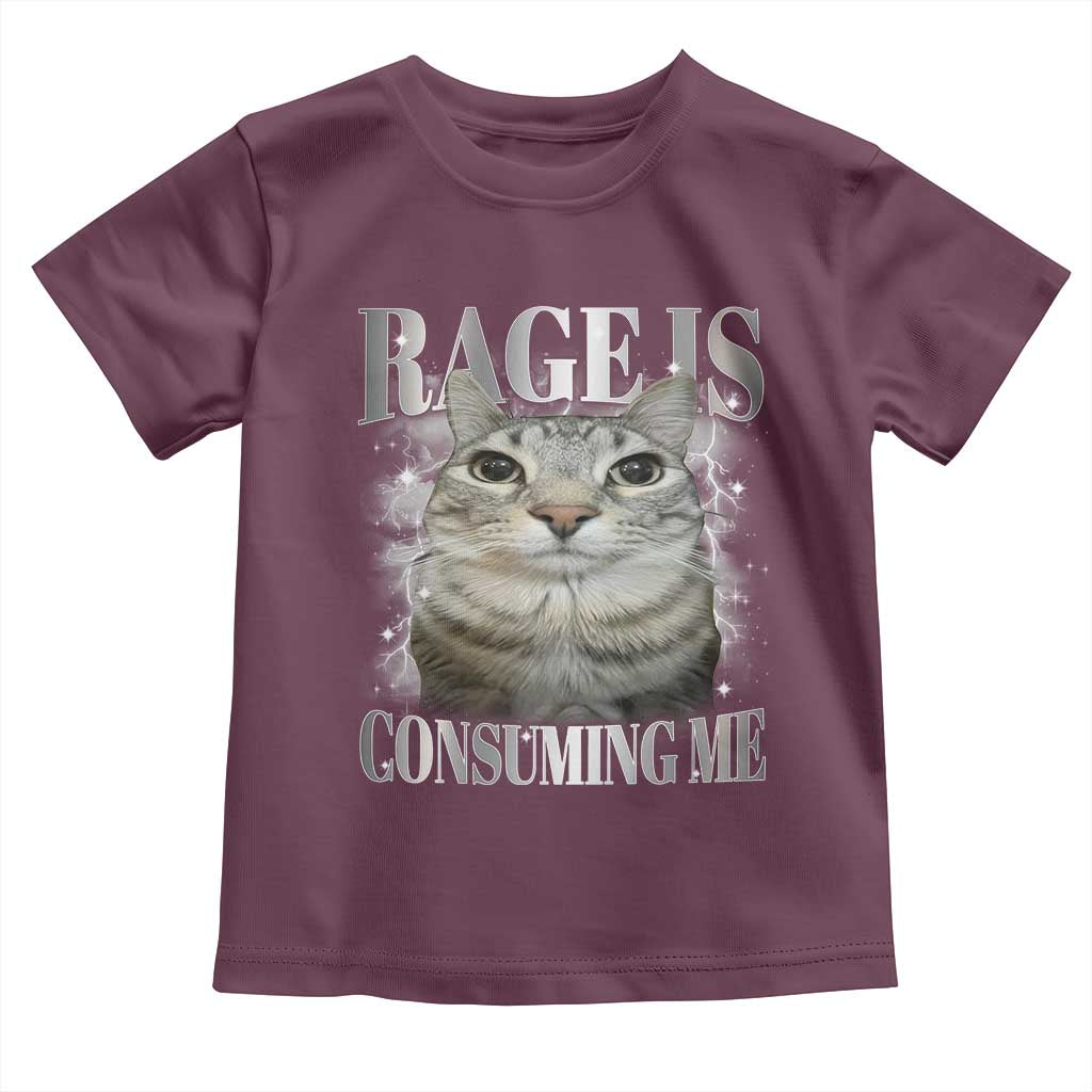 Rage Is Consuming Me Toddler T Shirt Funny Silly Cat Memes TS10 Maroon Print Your Wear