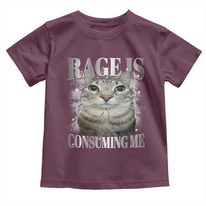 Rage Is Consuming Me Toddler T Shirt Funny Silly Cat Memes TS10 Maroon Print Your Wear