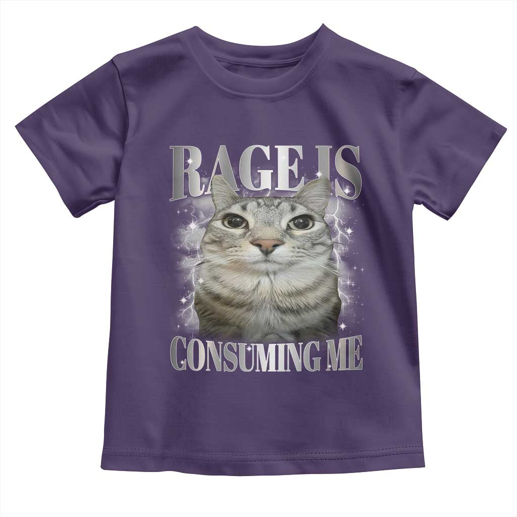 Rage Is Consuming Me Toddler T Shirt Funny Silly Cat Memes TS10 Purple Print Your Wear