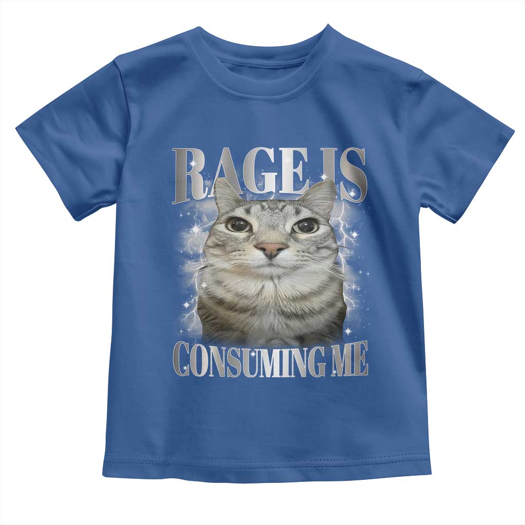 Rage Is Consuming Me Toddler T Shirt Funny Silly Cat Memes TS10 Royal Blue Print Your Wear