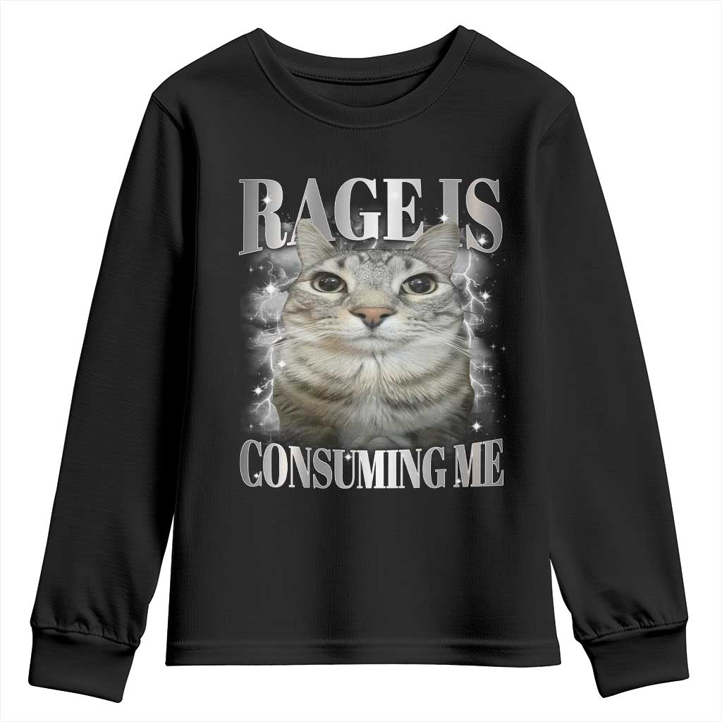 Rage Is Consuming Me Youth Sweatshirt Funny Silly Cat Memes TS10 Black Print Your Wear