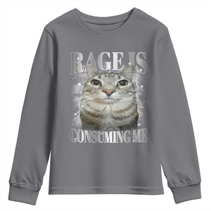 Rage Is Consuming Me Youth Sweatshirt Funny Silly Cat Memes TS10 Charcoal Print Your Wear