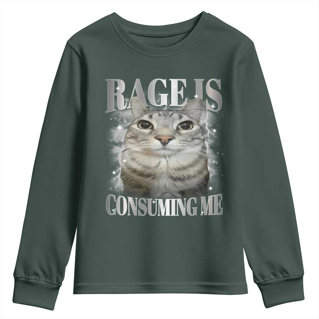 Rage Is Consuming Me Youth Sweatshirt Funny Silly Cat Memes TS10 Dark Forest Green Print Your Wear