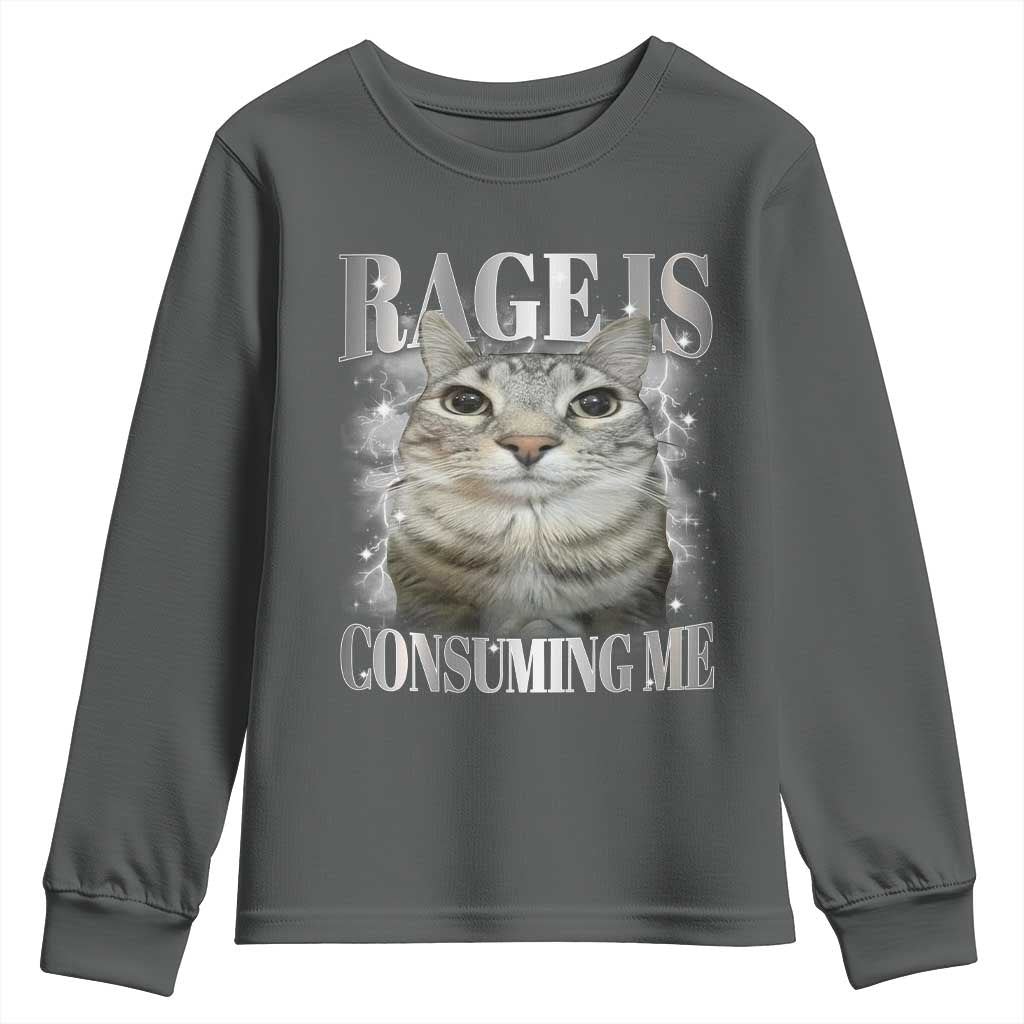 Rage Is Consuming Me Youth Sweatshirt Funny Silly Cat Memes TS10 Dark Heather Print Your Wear
