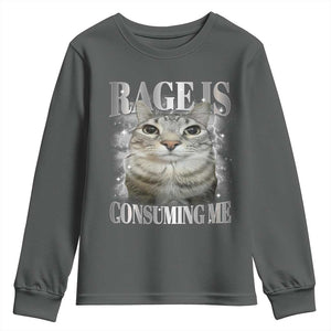 Rage Is Consuming Me Youth Sweatshirt Funny Silly Cat Memes TS10 Dark Heather Print Your Wear