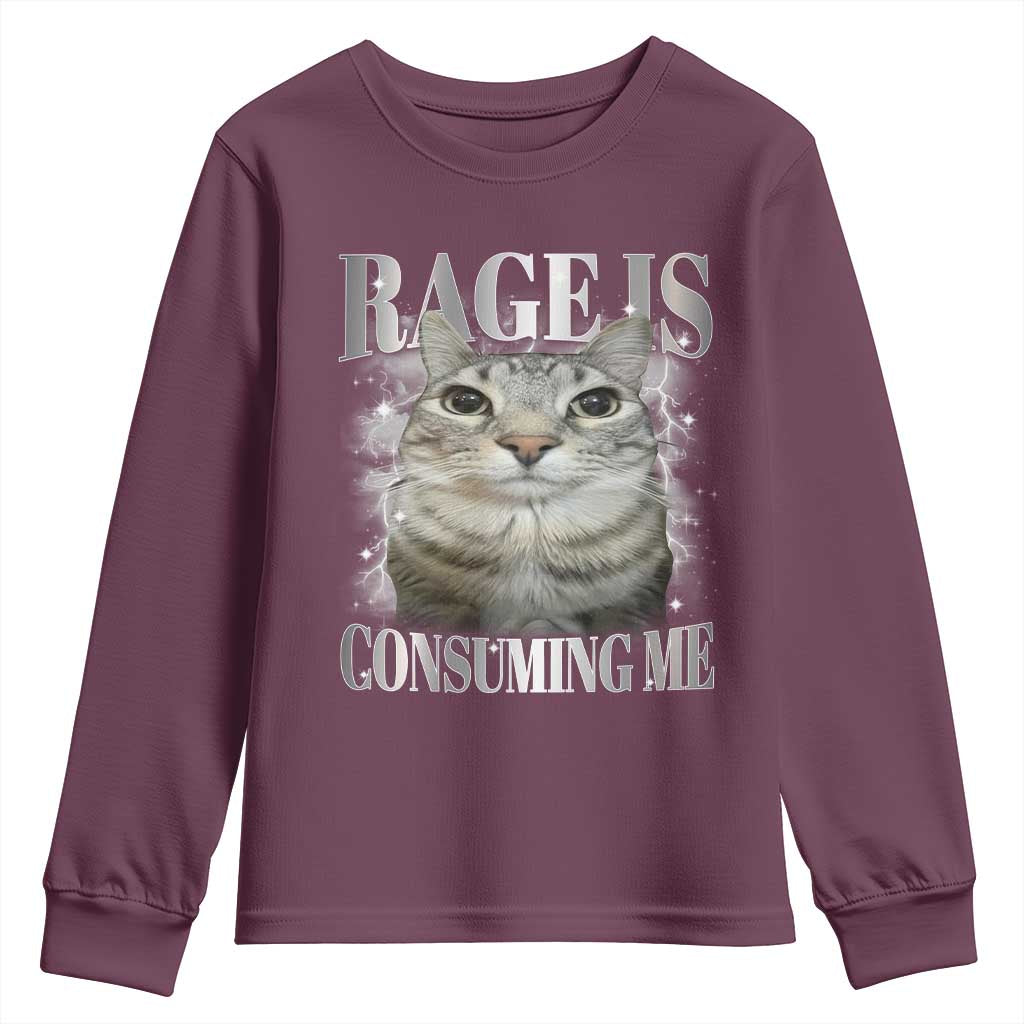 Rage Is Consuming Me Youth Sweatshirt Funny Silly Cat Memes TS10 Maroon Print Your Wear