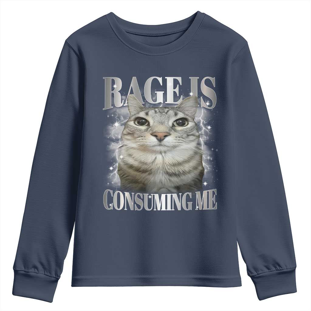 Rage Is Consuming Me Youth Sweatshirt Funny Silly Cat Memes TS10 Navy Print Your Wear