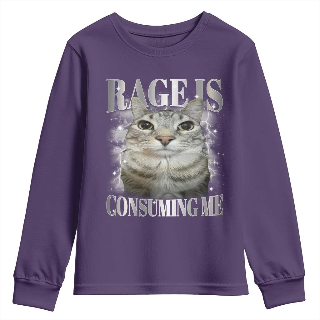 Rage Is Consuming Me Youth Sweatshirt Funny Silly Cat Memes TS10 Purple Print Your Wear