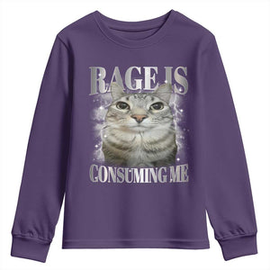 Rage Is Consuming Me Youth Sweatshirt Funny Silly Cat Memes TS10 Purple Print Your Wear