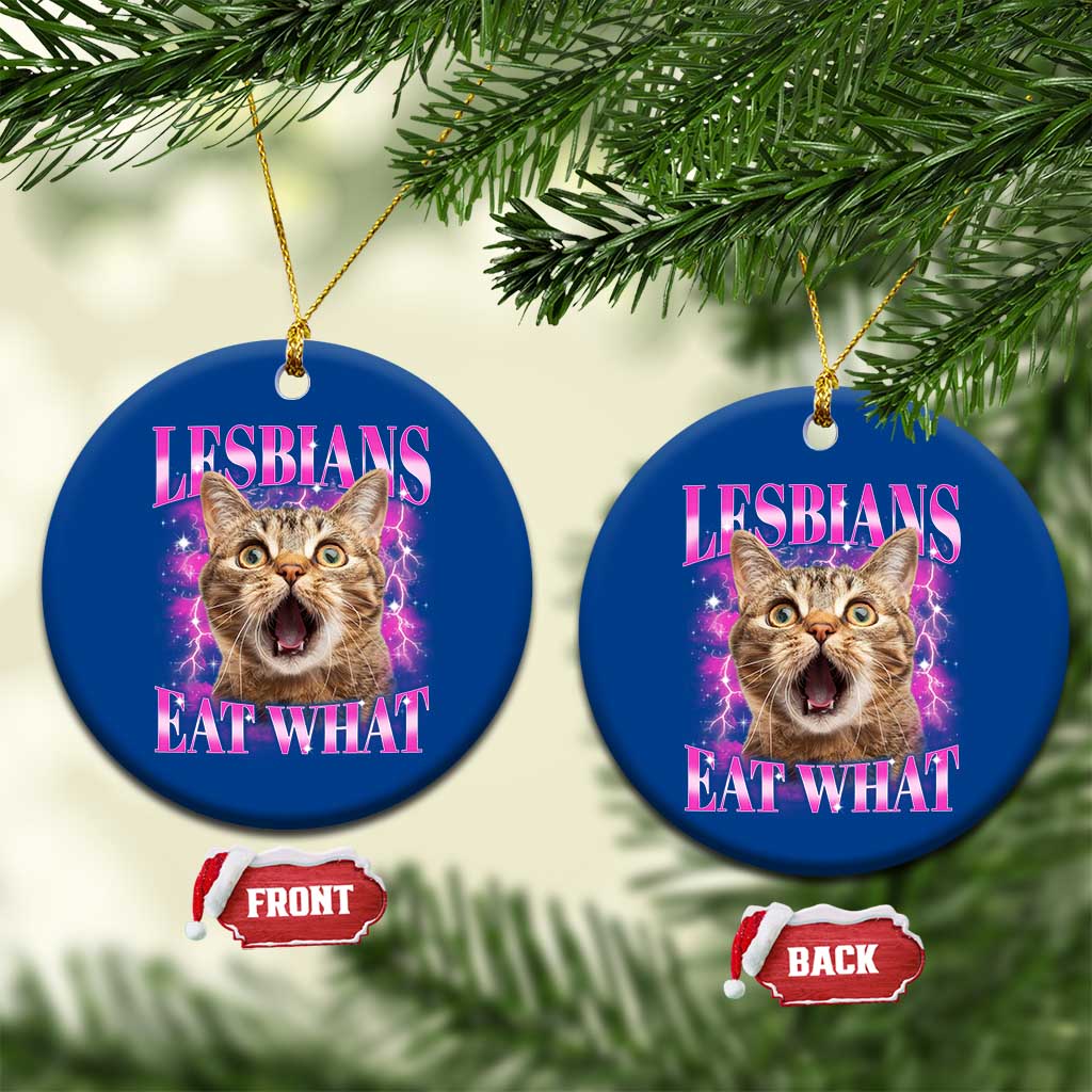 Lesbians Eat What Ceramic Ornament Funny Cat Gay Pride LGBTQ Pun TS10 1pc Blue Print Your Wear