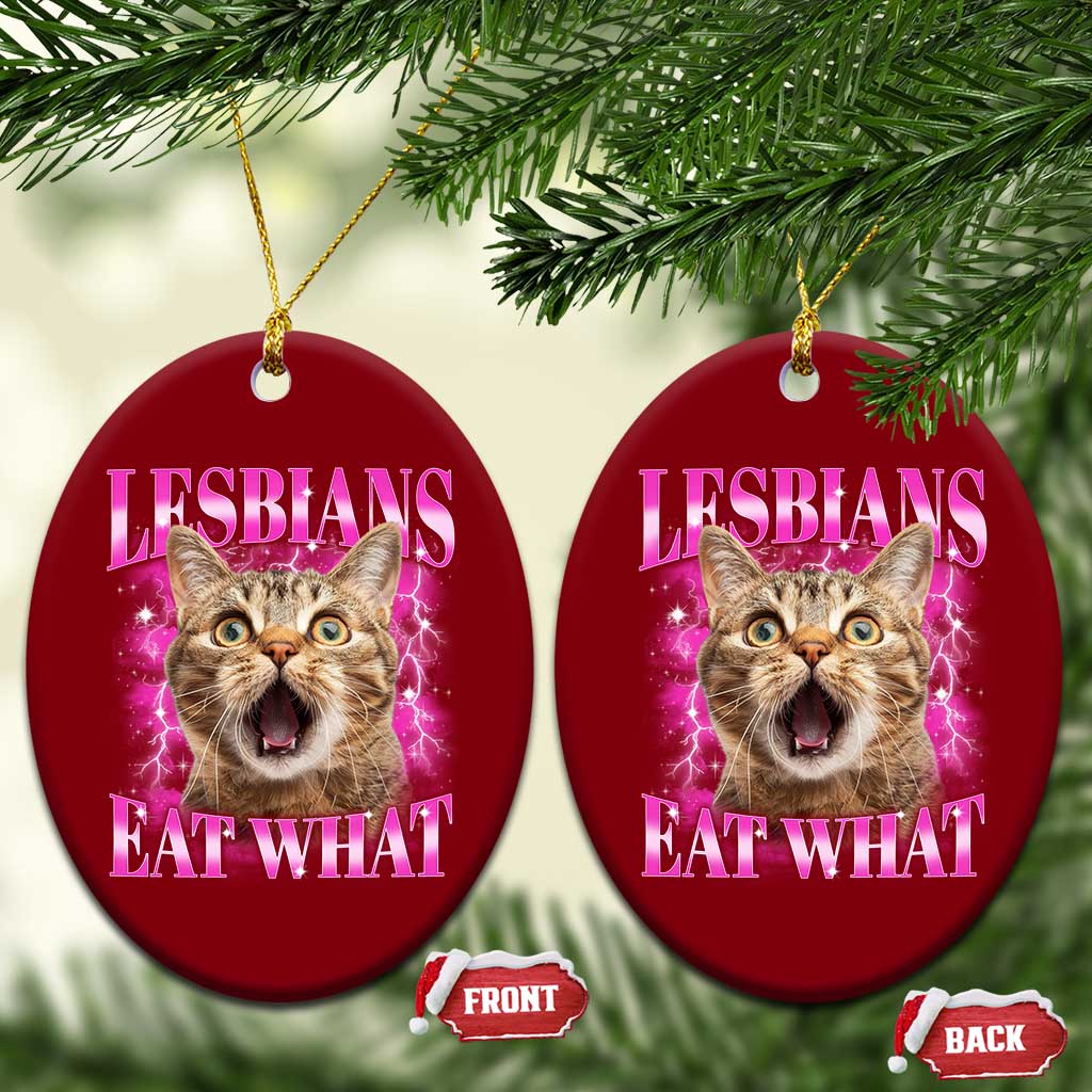 Lesbians Eat What Ceramic Ornament Funny Cat Gay Pride LGBTQ Pun TS10 Print Your Wear