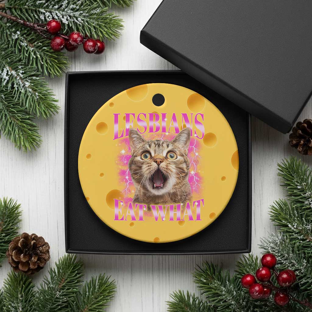 Lesbians Eat What Ceramic Ornament Funny Cat Gay Pride LGBTQ Pun TS10 1pc Yellow Cheese Print Your Wear