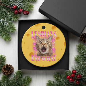 Lesbians Eat What Ceramic Ornament Funny Cat Gay Pride LGBTQ Pun TS10 1pc Yellow Cheese Print Your Wear