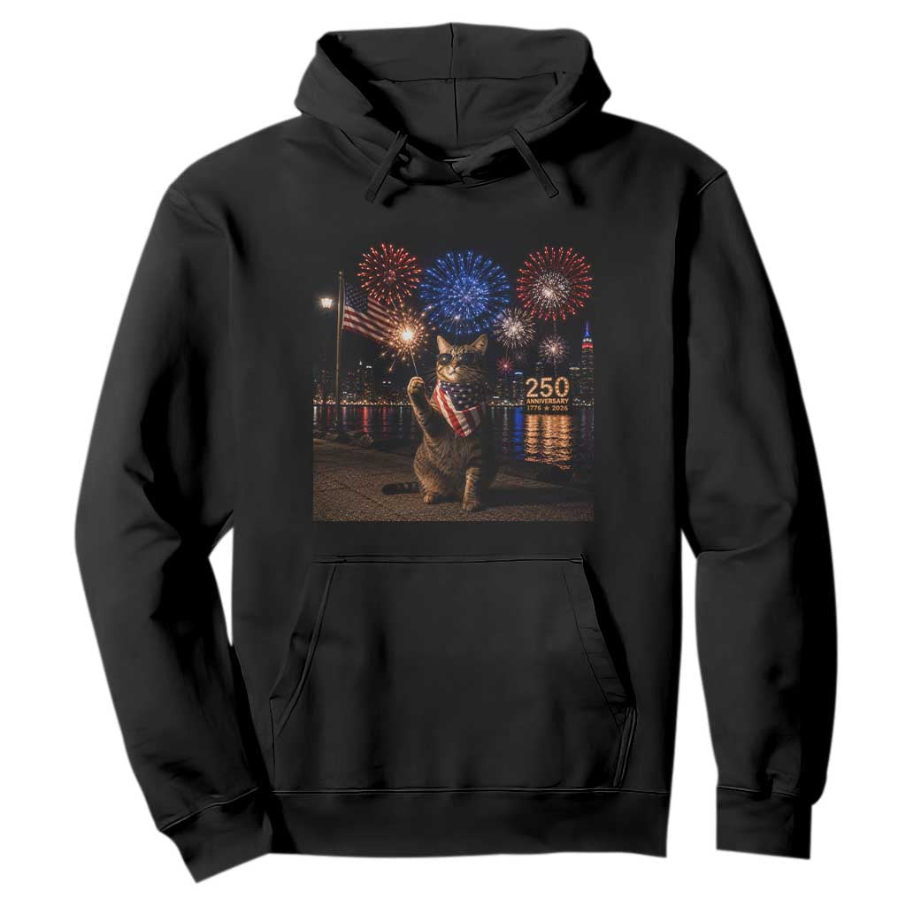 USA 250th Anniversary Cat Hoodie Funny 4th Of July Independence Day 250 Years 1776 2026 Patriotic Celebration Meme
