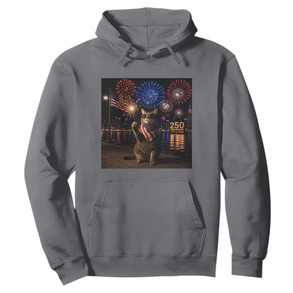 USA 250th Anniversary Cat Hoodie Funny 4th Of July Independence Day 250 Years 1776 2026 Patriotic Celebration Meme